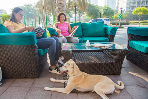 Berts - Pet Friendly Restaurants In Dubai