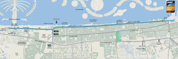 Dubai Marathon: Your guide to road closures, spectating & more - What's ...