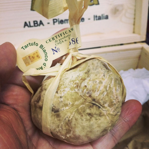 White Truffle