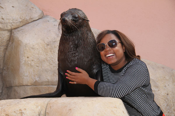 Atlantis, The Palm now houses South African sea lions