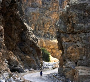 Wadi Bih Run - endurance races in UAE