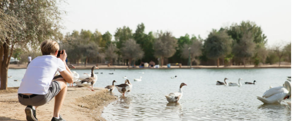 Things to do at Al Qudra Lakes
