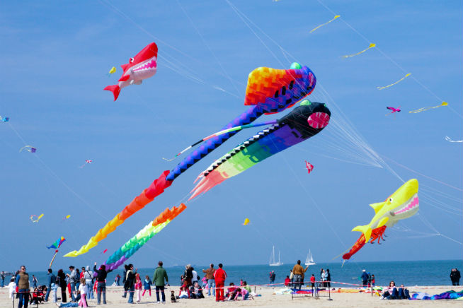 kite festival