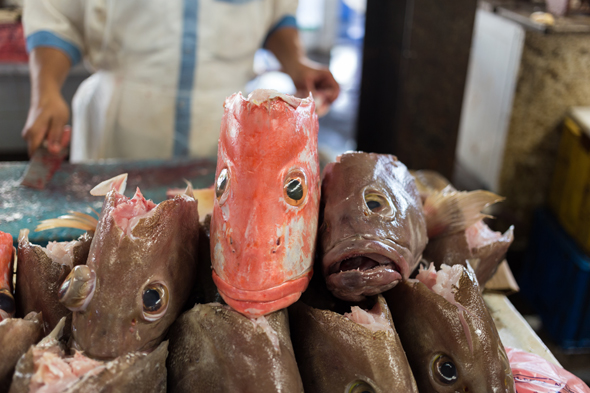 deira-fish-market-15