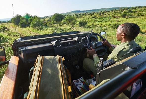 Morning game drive with Joel.