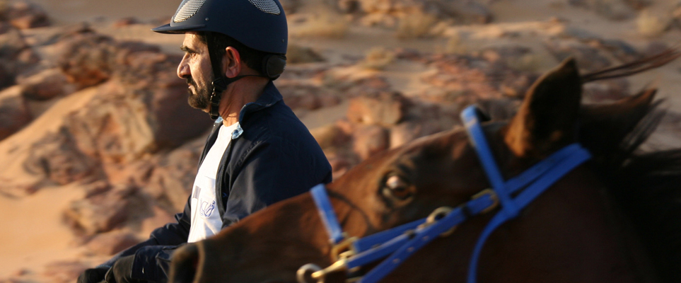 sheikh mohammed horses