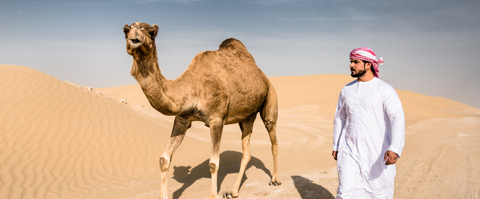 camel trek dubai