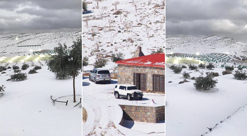 Check out these awesome photos of the snow in the UAE