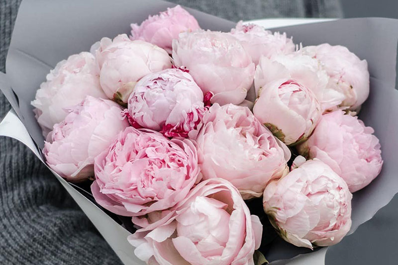 5 beautiful flower deliveries to try in Dubai - What's On