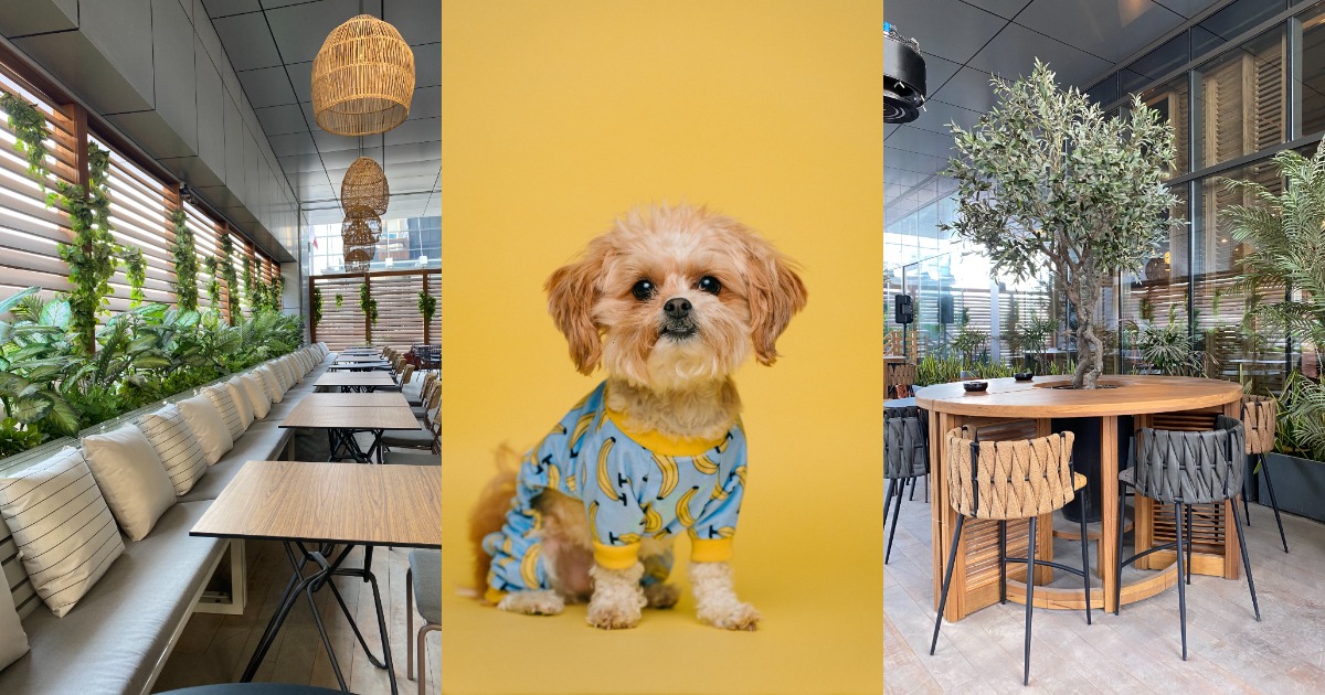 Bring your dog to this Dubai Marina restaurant and save 20 off the bill