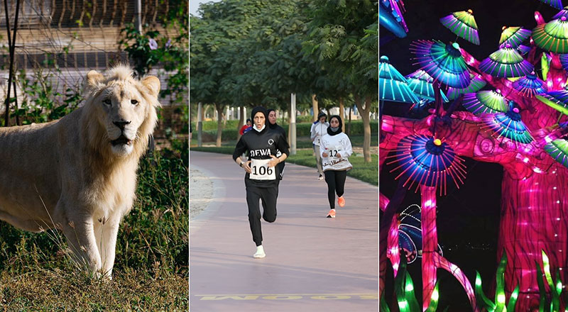 Dubai Ladies Running Challenge