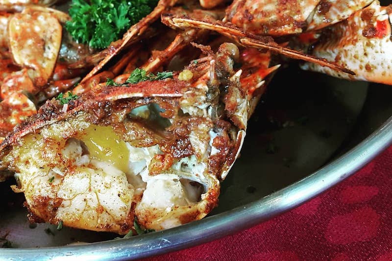 Dampa