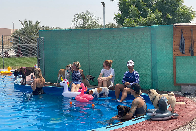 Join this pool party to help raise money for animals in need - Things To Do in Dubai - - Chandeliers in Dubai, UAE