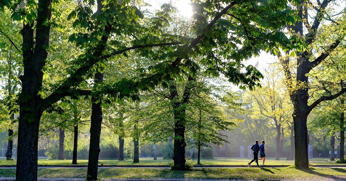 Abu Dhabi Your last chance to get fit outdoors for free with Active Parks