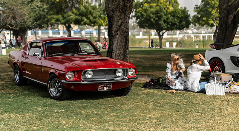 classic car picnic