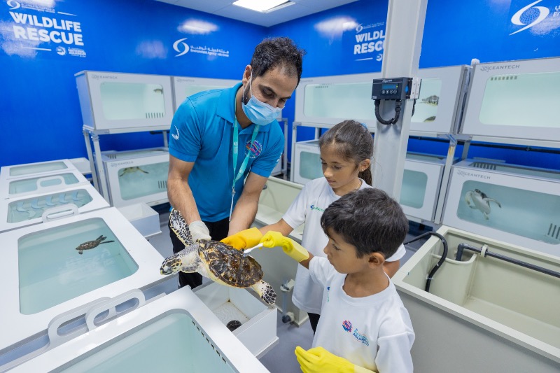 National Aquarium Abu Dhabi junior program