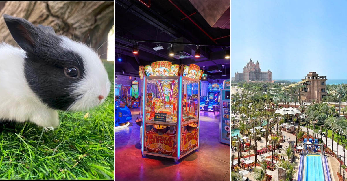 12 Brilliant Family-friendly Things To Do In Dubai - What's On