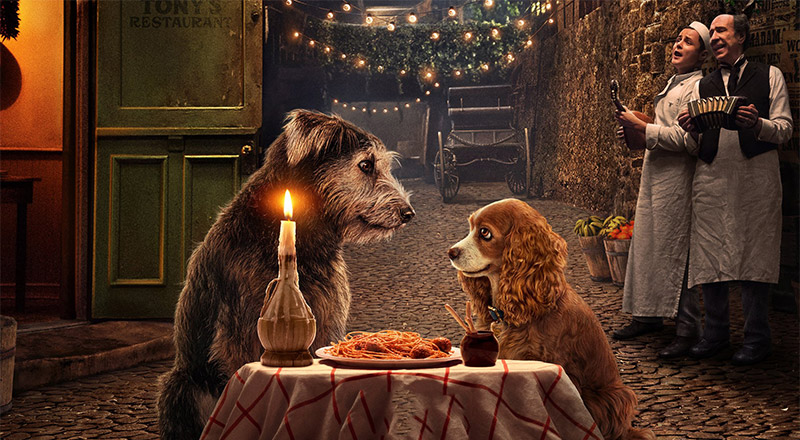 Lady and the tramp still