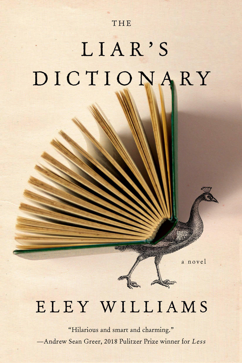 the liar's dictionary book
