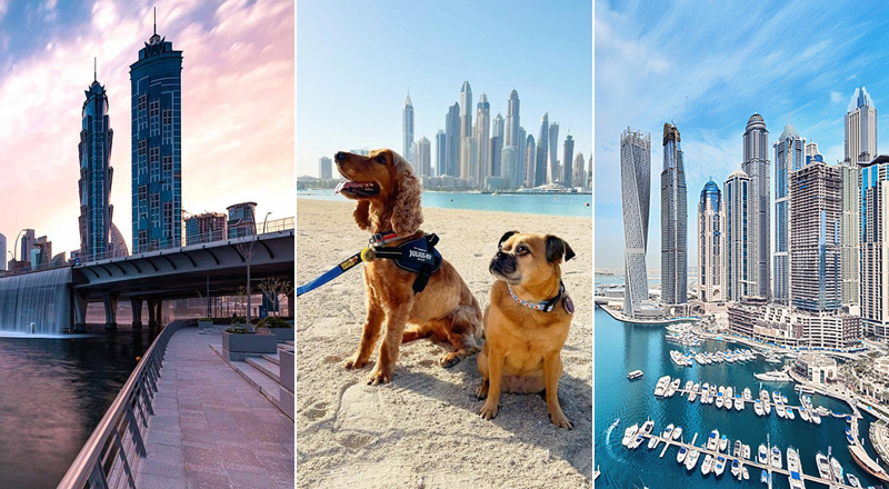Leisurely walks in Dubai