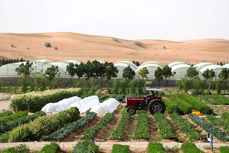 Emirates Bio Farm family friendly things to do in Abu Dhabi