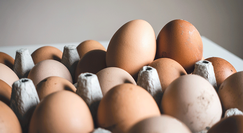 egg poultry price increase UAE