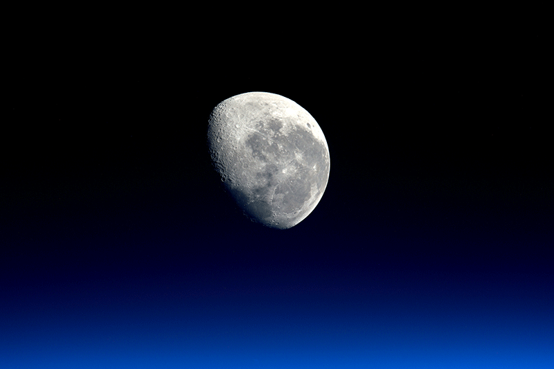 Moon gazing