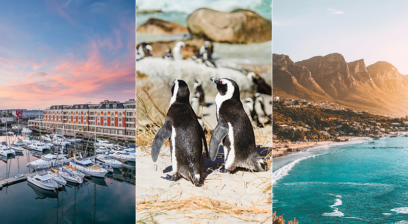 attractions in cape town - What's On