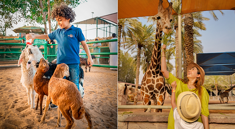 emirates park Zoo and resort featured