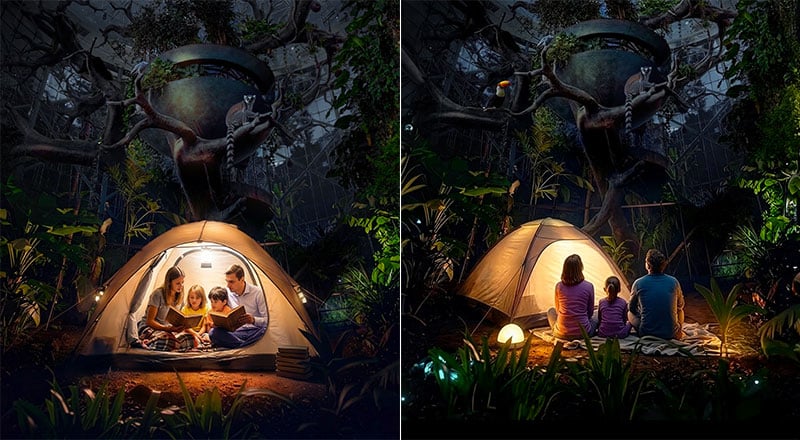 camping in the rain forest featured