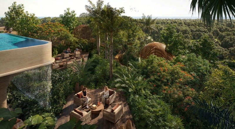 Dubai is getting a forest district by the sea: Here’s what you need to know