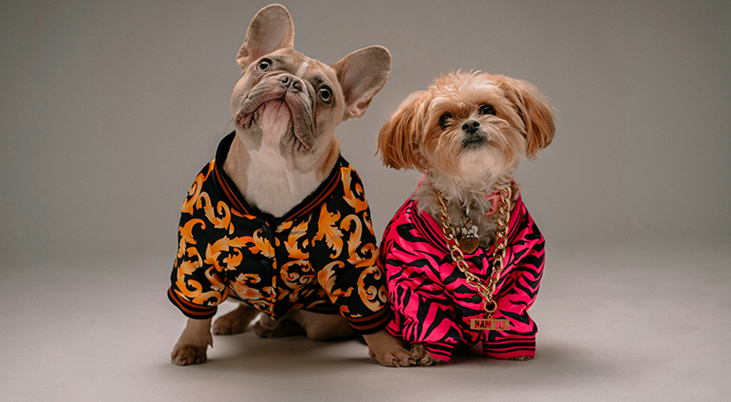 deliveroo - Roo Foodie Dogs