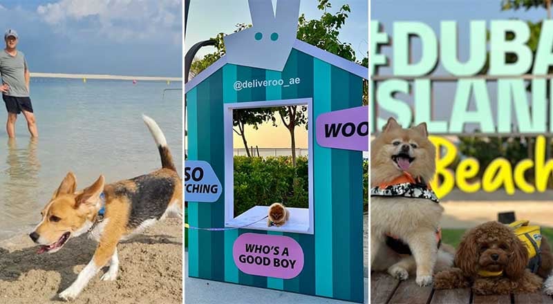 dog festival dubai