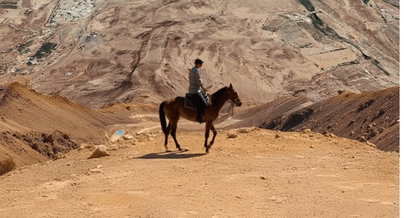 Saddle up: Dubai launches the first sand equestrian track in Hatta