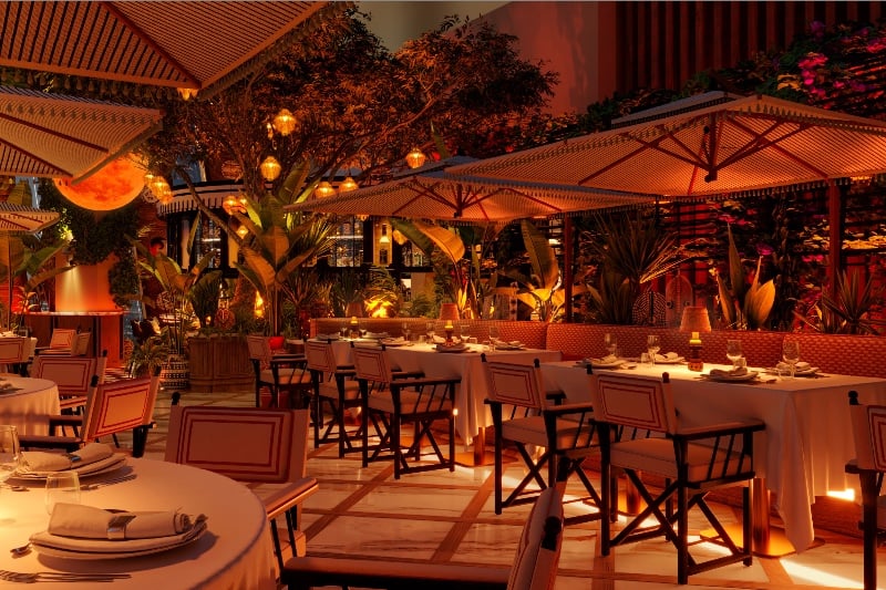 lion in the sun terrace