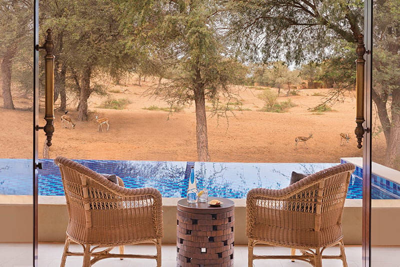 The Ritz-Carlton Ras Al Wadi Desert pool