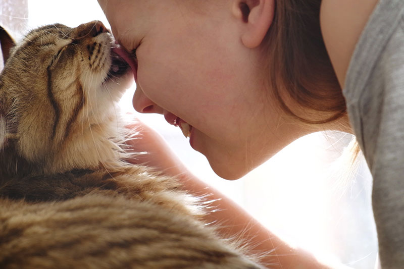 cat adoption day abu dhabi