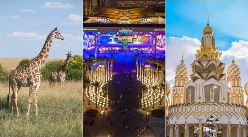 Top events in Dubai this week you need to know about