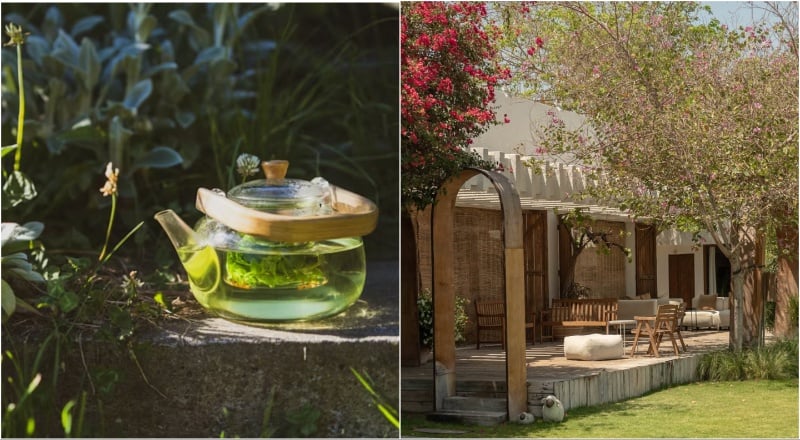 Feeling burnt out? Try these 7 calming things to do in Dubai