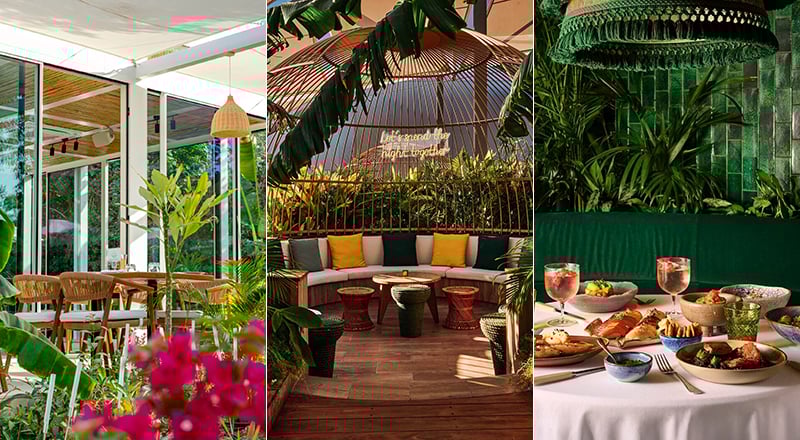 jungle themed restaurants dubai