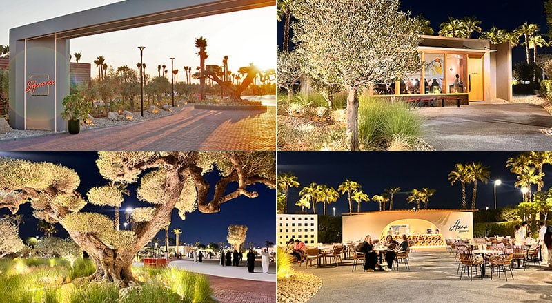 the square NAS-Featured