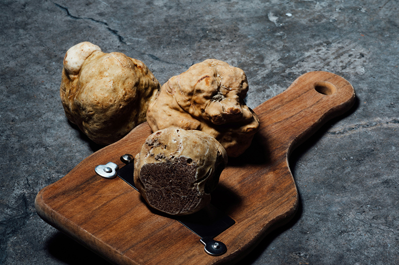 white truffle season