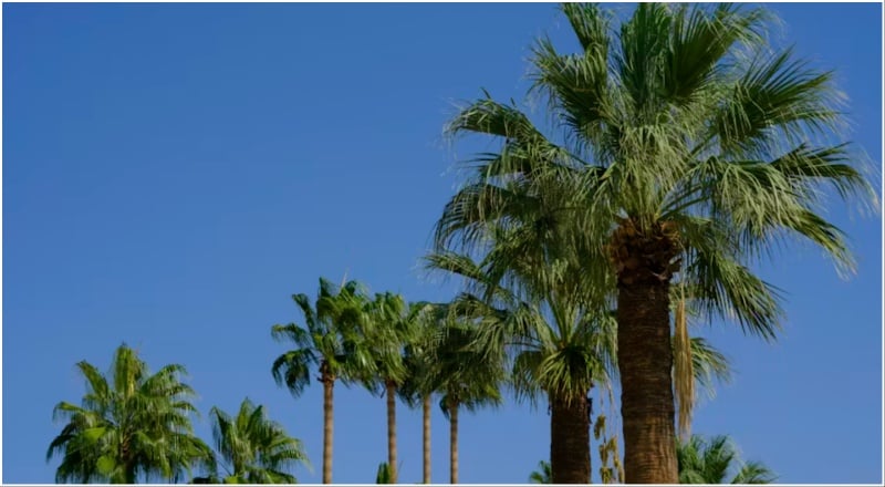 Miss winter? UAE weather signals the official start of the season