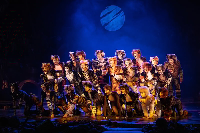 CATS musical