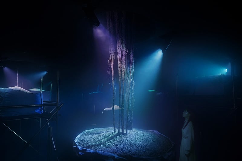 teamLab Phenomena Abu Dhabi