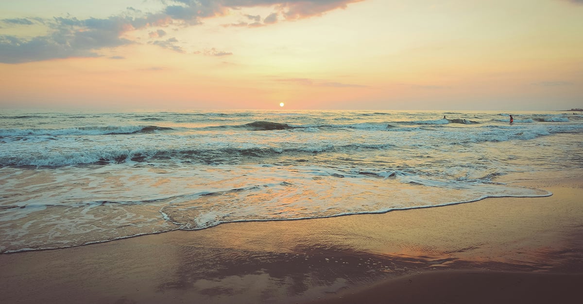 These 4 beaches are open exclusively to families   whatson.ae