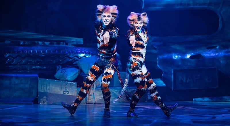 CATS musical