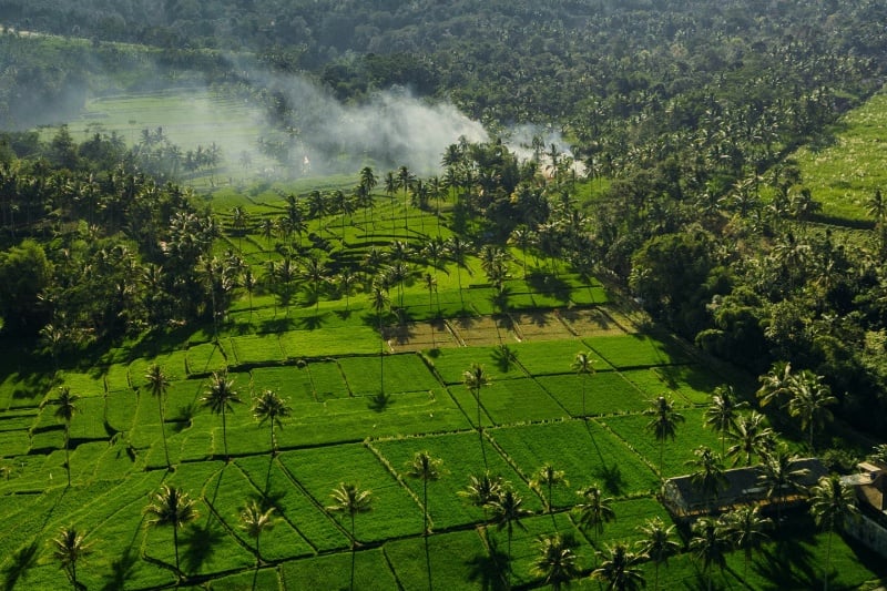 image gallery