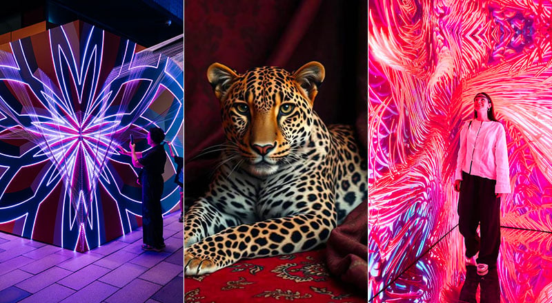 Art Festivals in Dubai
