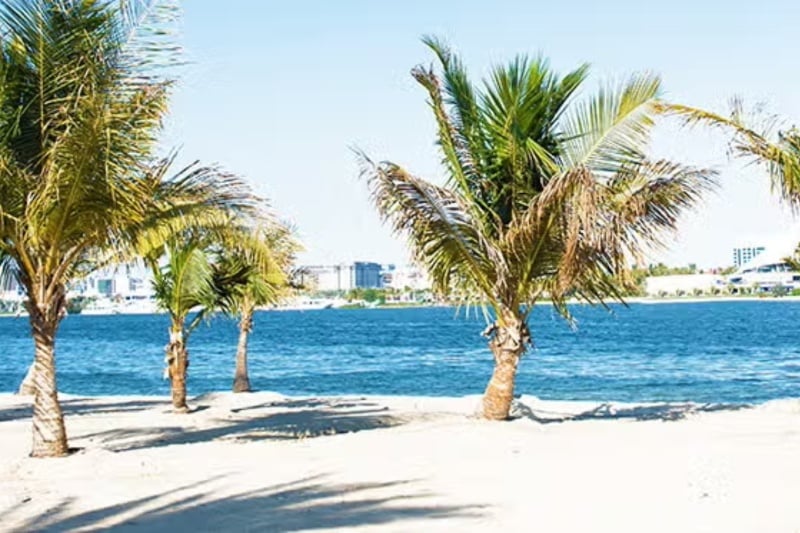 image gallery
